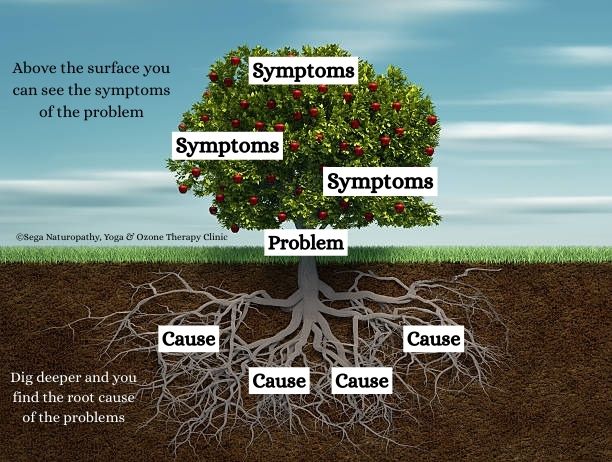 Natural healthcare consultation